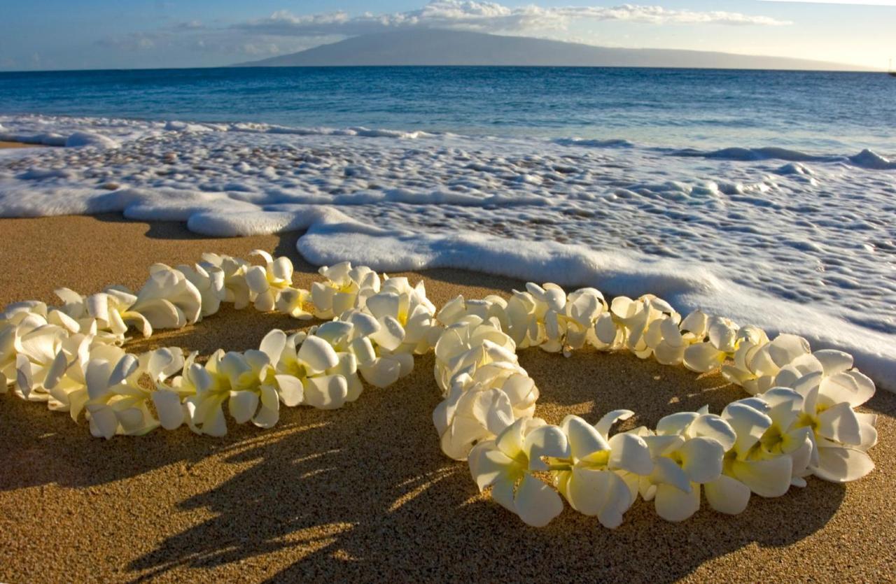 Steps To Waikiki Beach! Newly Renovated With 75" Tv Honolulu Exterior foto